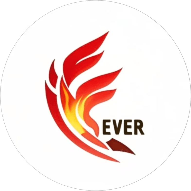 FEVER 战队标识